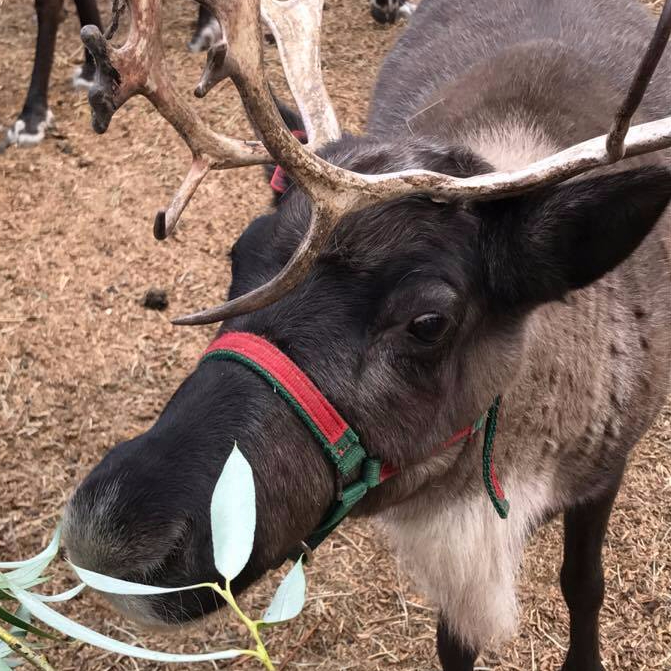 21769861_10214923025490035_136243032_n